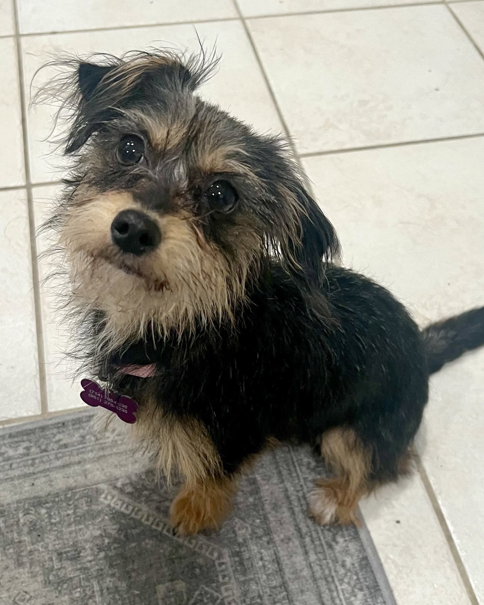 Sadie Image