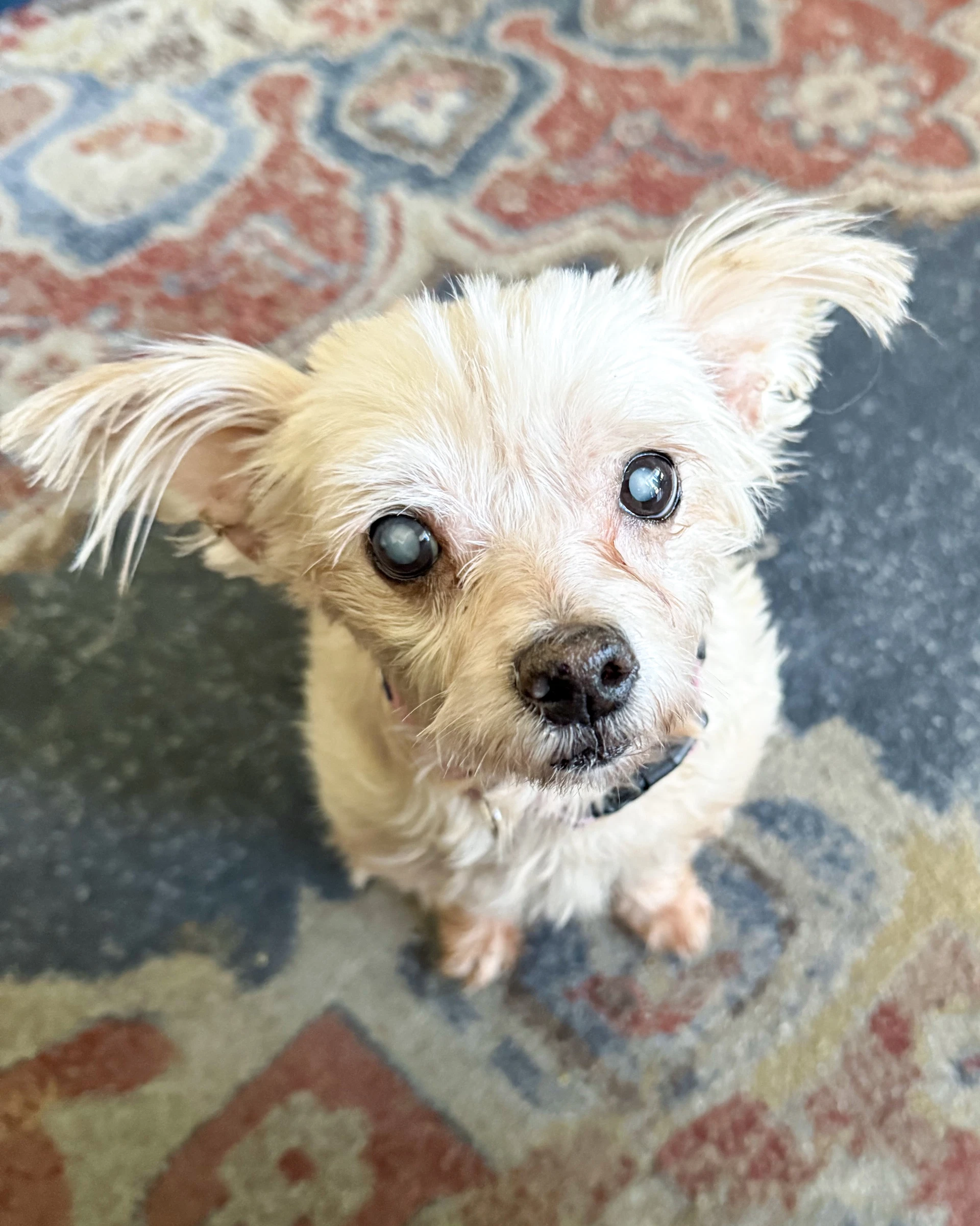 Betty