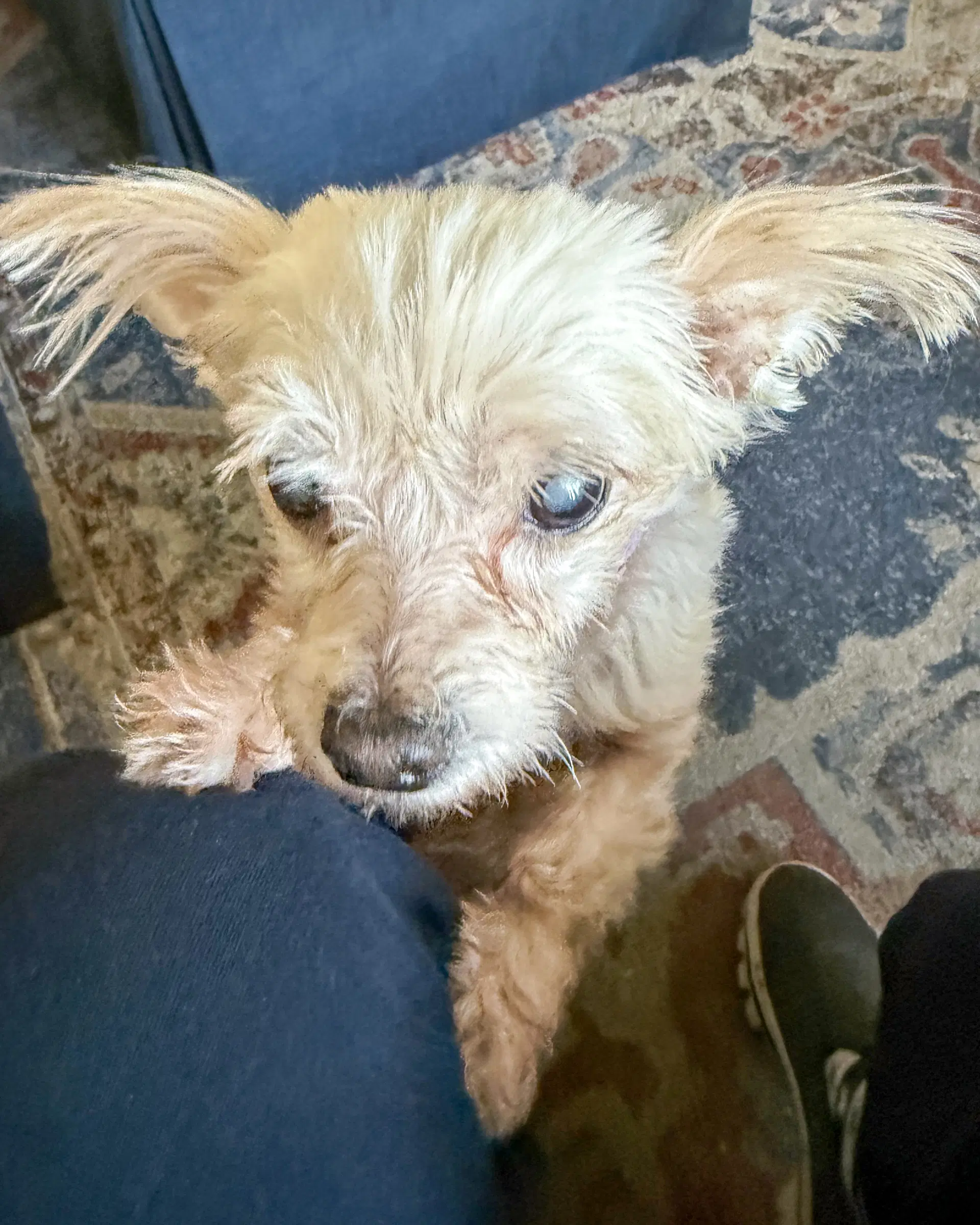 Betty image 3
