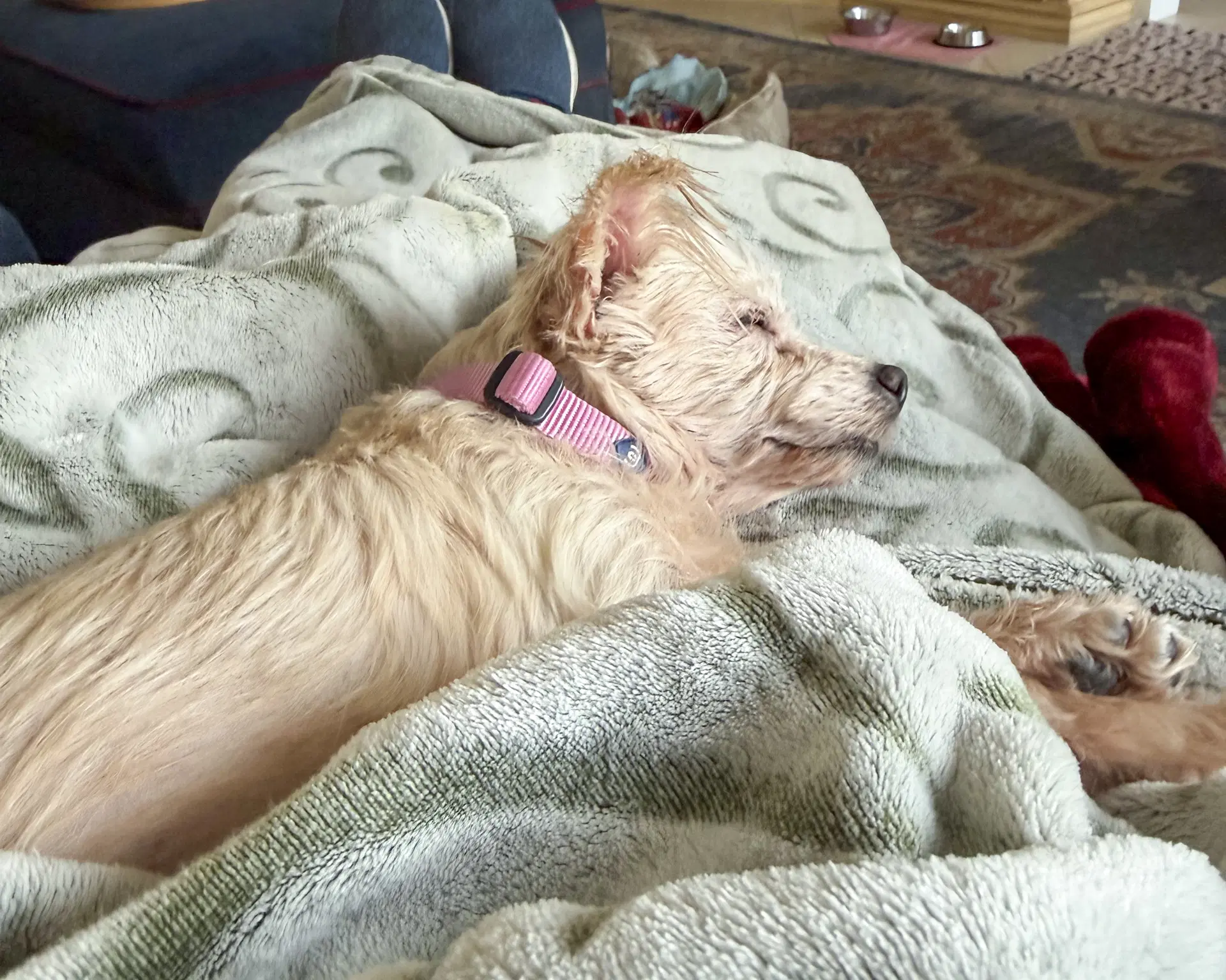 Betty image 4