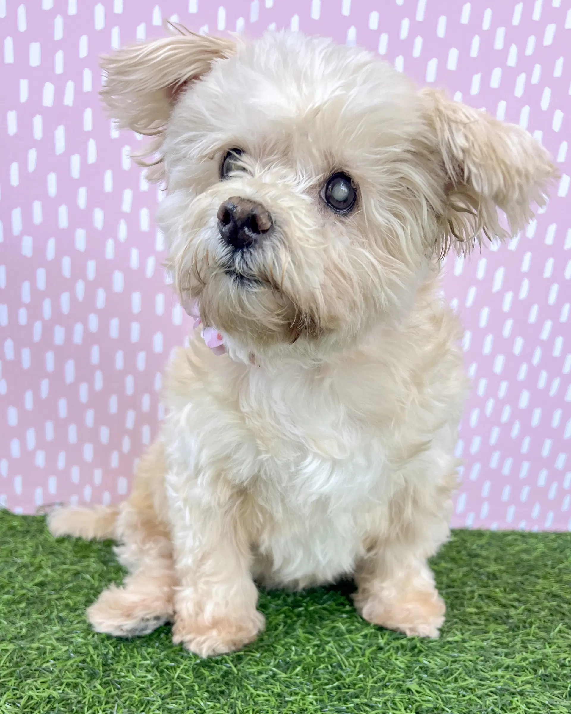 Betty image 2