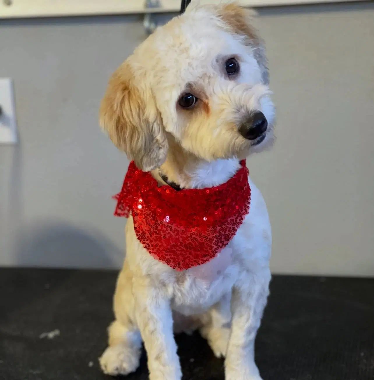 Capri image 2