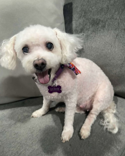 Matilda