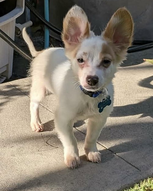 Butters photo 2