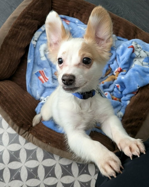 Butters photo 3