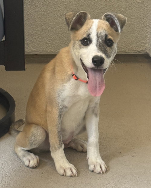 Benjamin photo 2