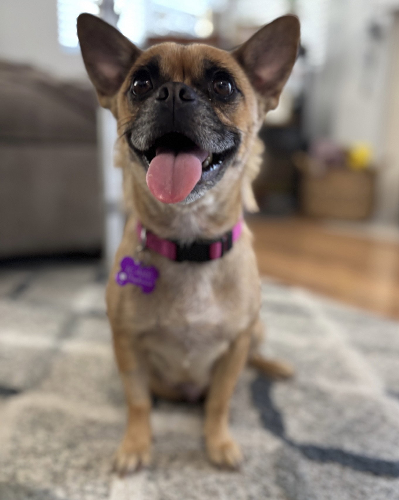 Lola, photo 4