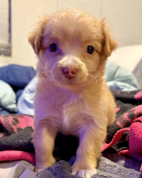 Kona photo 2