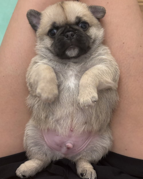 Photo 2 of Winston