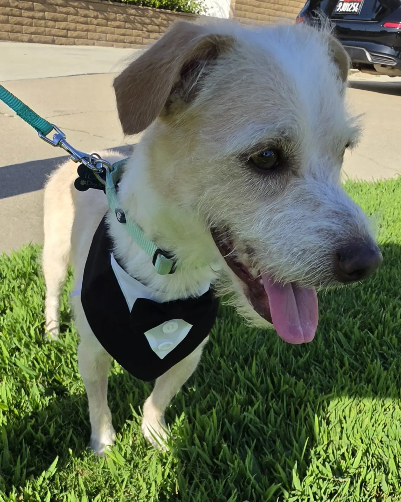 Otis image 3