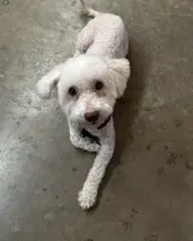 Maggie image 3