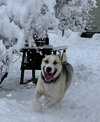 Crispin - Photo 3