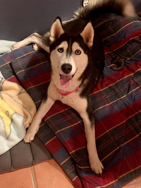 Greta