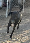 Rocky - Photo 4