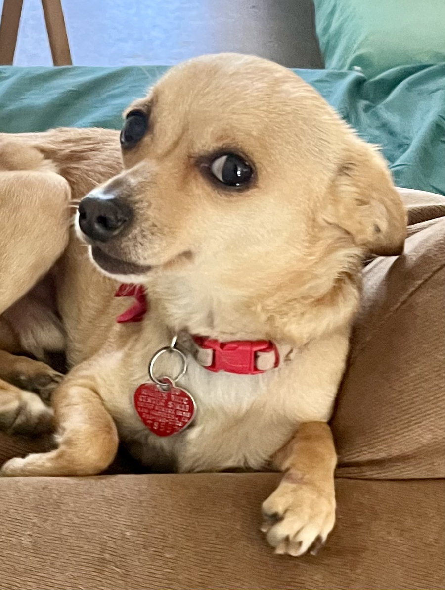 Milo