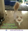 Sir Reginald Aticus Fluffpants