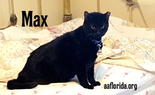 Max