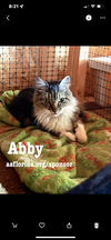 Abby
