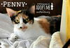 Penny