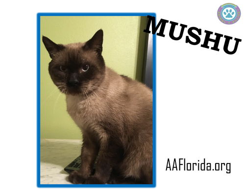 Mushu