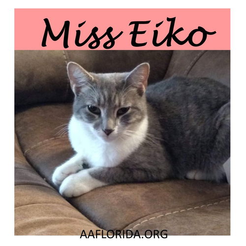 Ms. Eiko