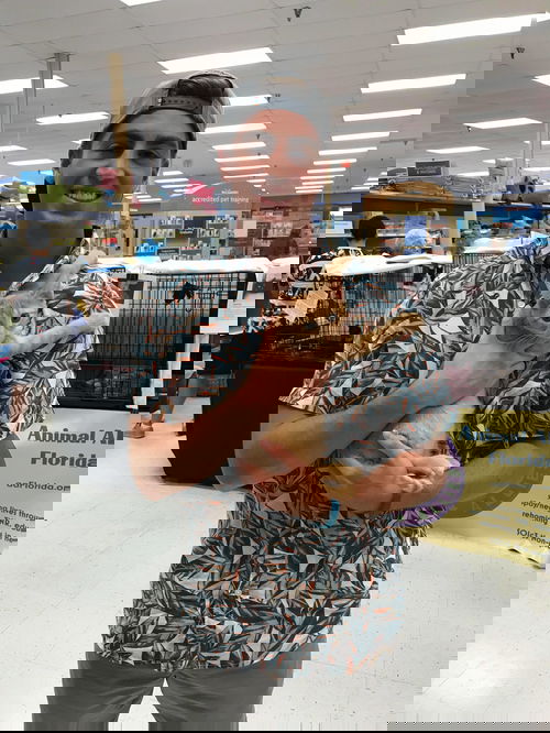 Squash