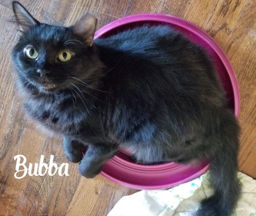 Bubba