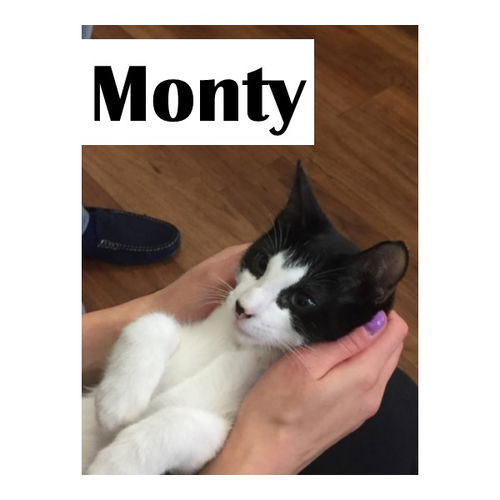 Monty