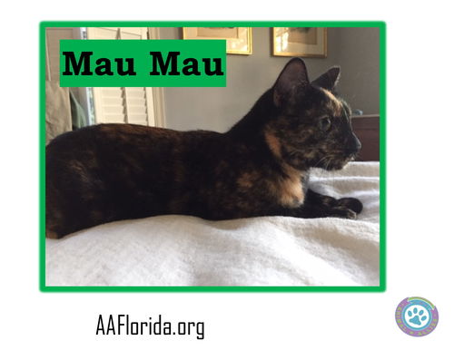 Mau Mau