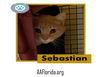 Sebastian