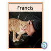 Francis