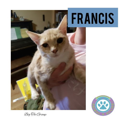 Francis