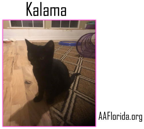 Kalama