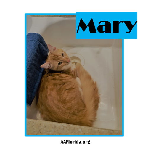 Mary 2019