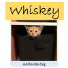 Whiskey