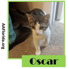 Oscar