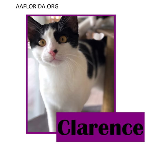 Clarence