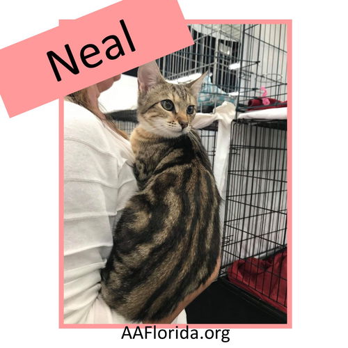 Neal