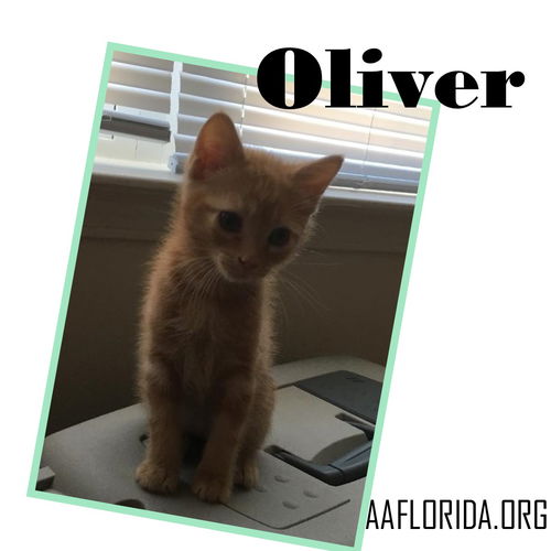 Oliver