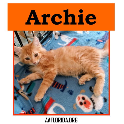 Archie