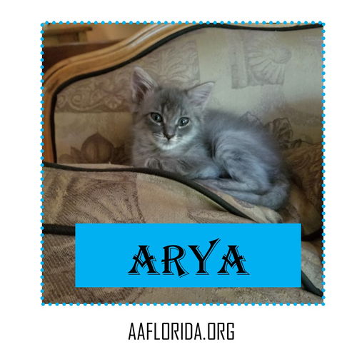 Arya