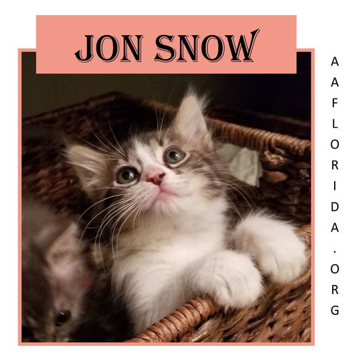 Jon Snow