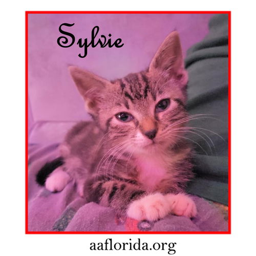 Sylvie