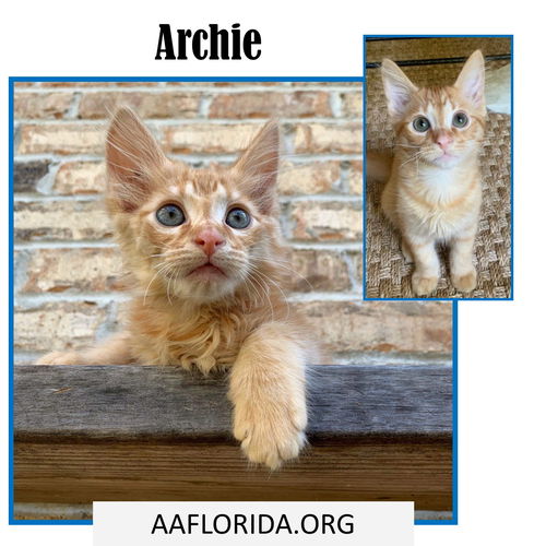 Archie