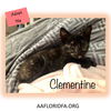 Clementine 5/2019