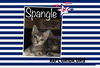 Spangle