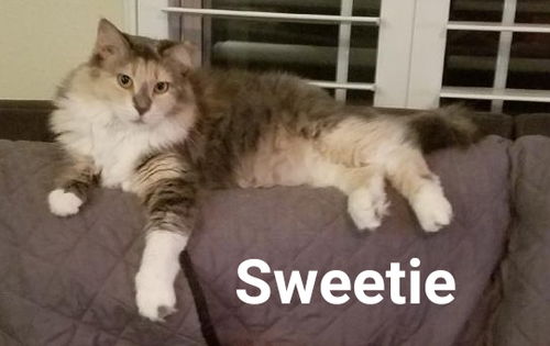 Sweetie