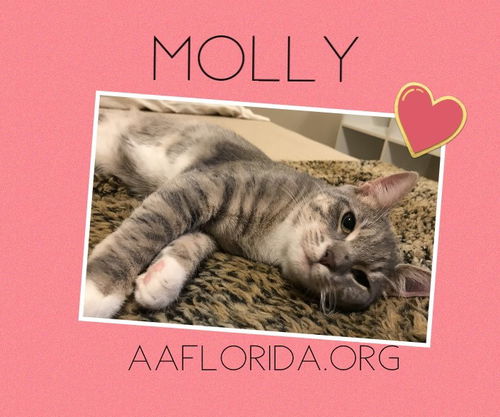 Molly 12/2019