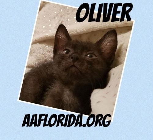 Oliver