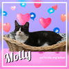 Molly